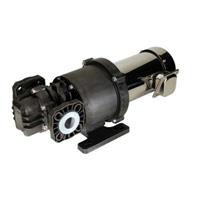 ECLIPSE® 75 Non-Metallic External Gear Pump